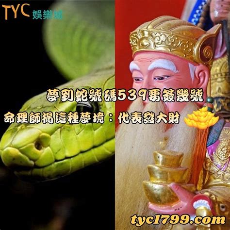 看見蛇|【看到蛇代表什麼預兆】驚見蛇類狂現蹤！民俗專家：2招化解「。